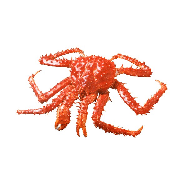 Whole King Crab
