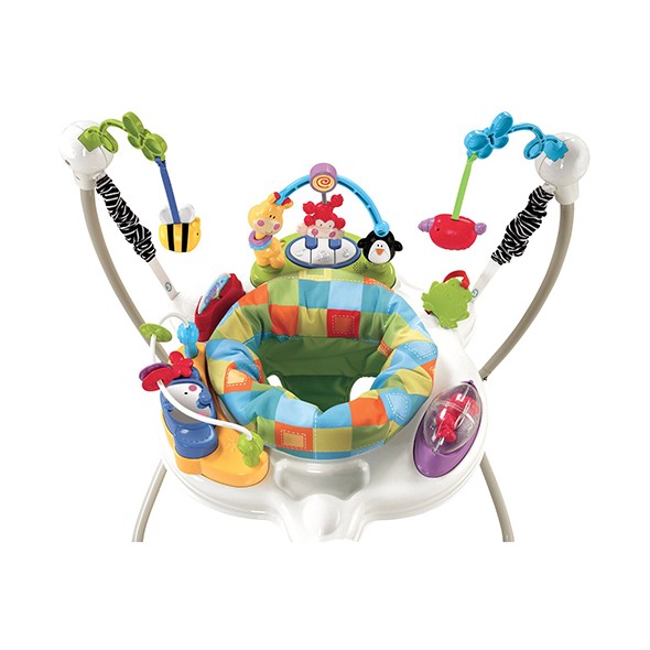 Discover' N Grow '  Jumperoo W9466